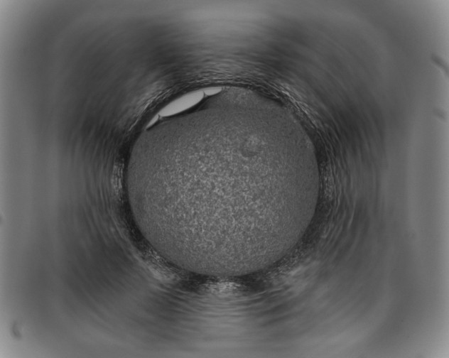 X0000096660695200802191307