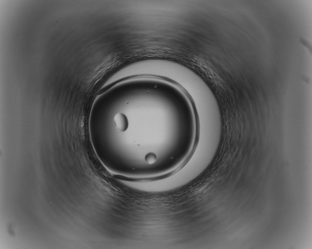 X0000096660696200802191307