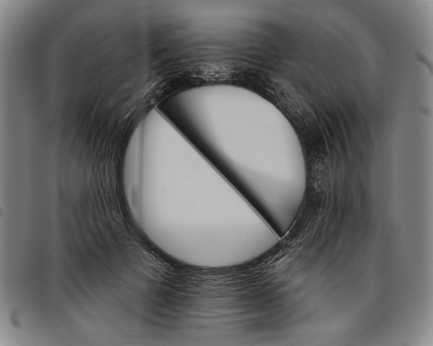 X0000096660697200802191307