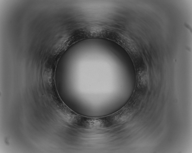 X0000096660698200802191307