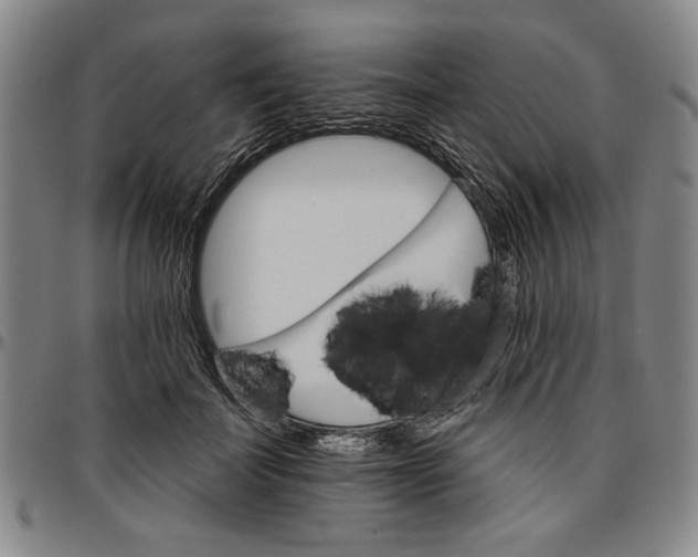 X0000096660699200802191307