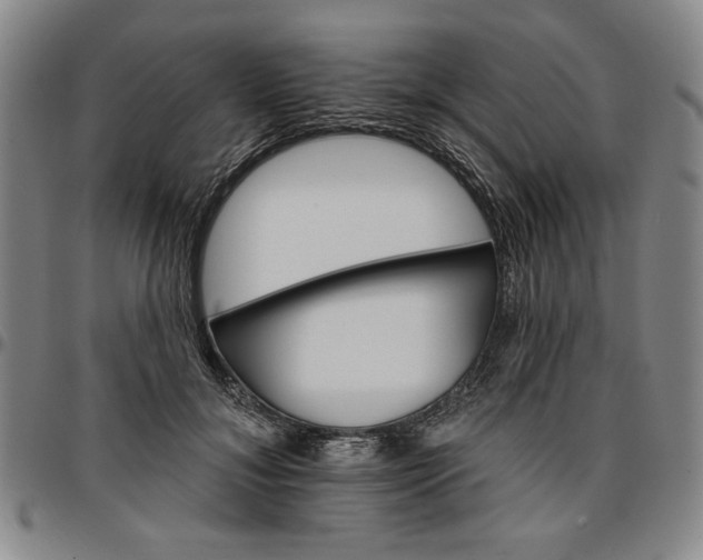 X0000096660700200802191307