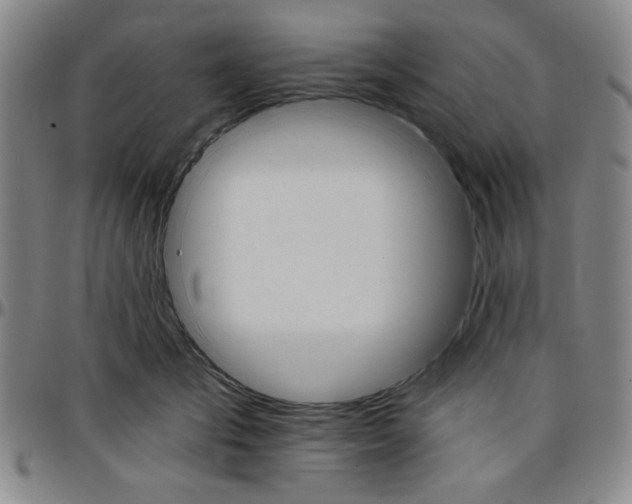 X0000096660701200802191307