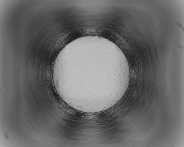 X0000096660702200802191307