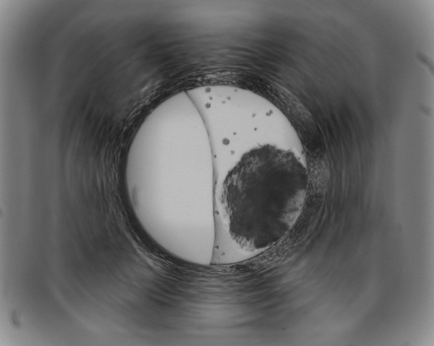 X0000096660703200802191307