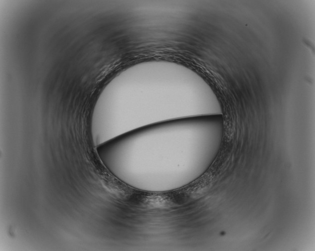 X0000096660704200802191307