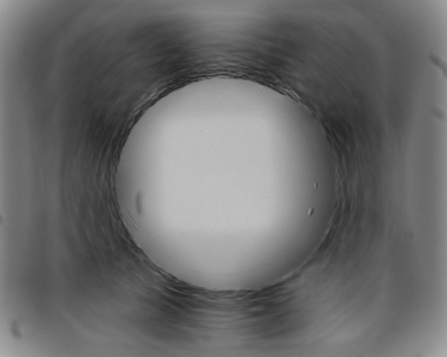 X0000096660705200802191307