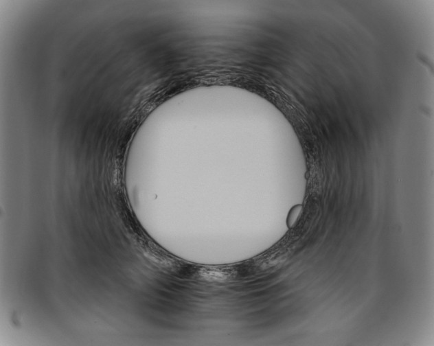 X0000096660706200802191307