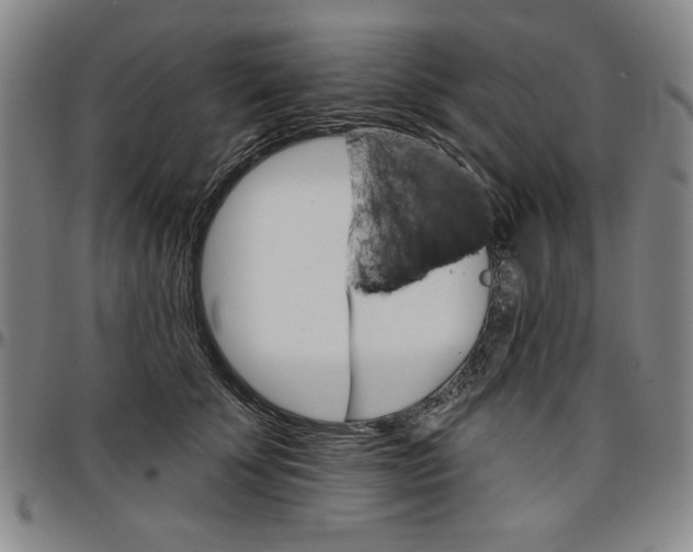 X0000096660707200802191307