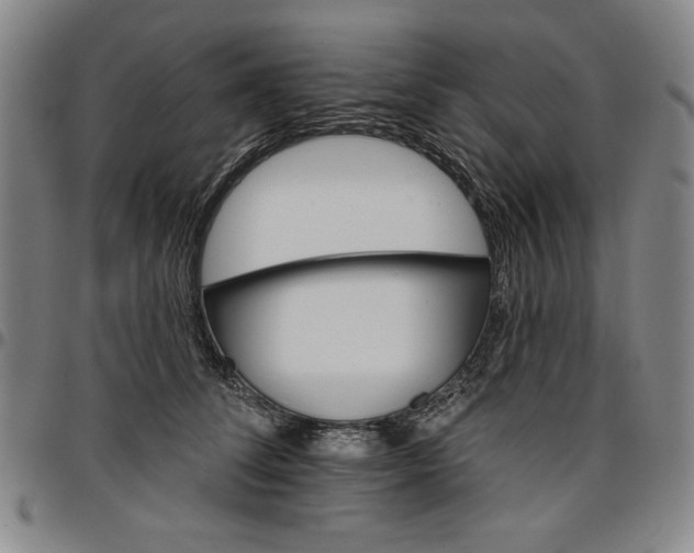 X0000096660708200802191307