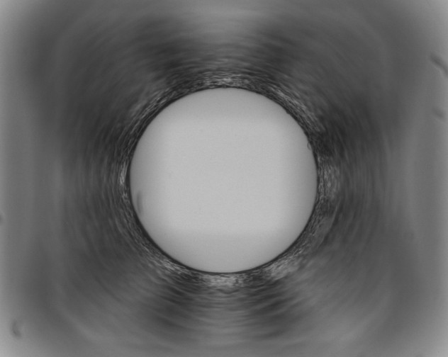 X0000096660709200802191307