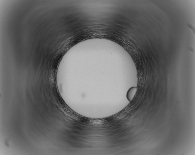 X0000096660710200802191307