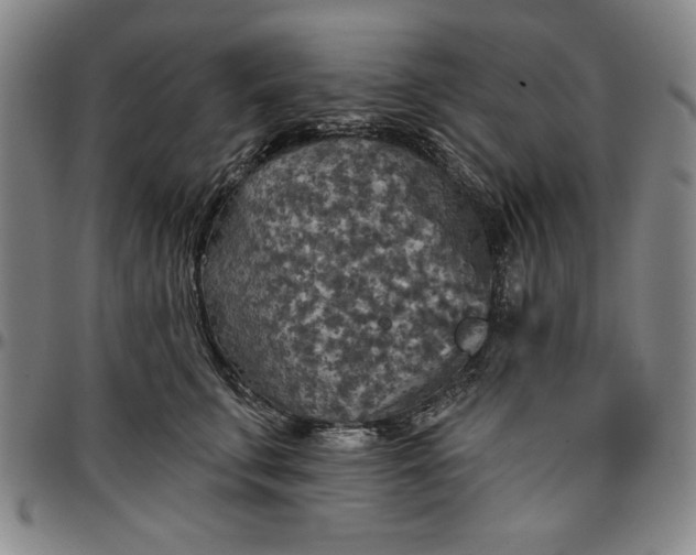 X0000096660711200802191307