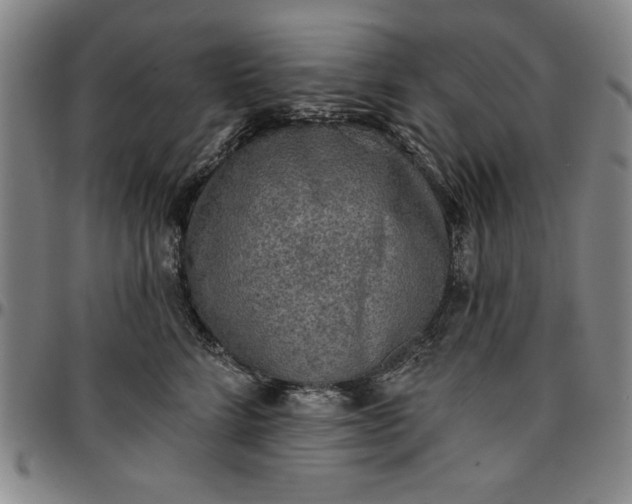 X0000096660712200802191307