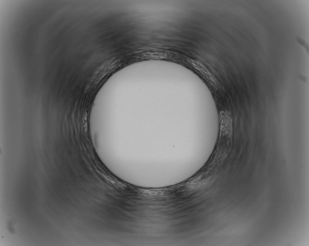 X0000096660713200802191306