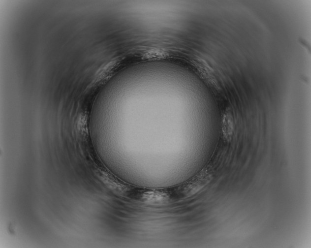 X0000096660714200802191306