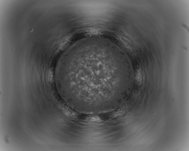 X0000096660715200802191306