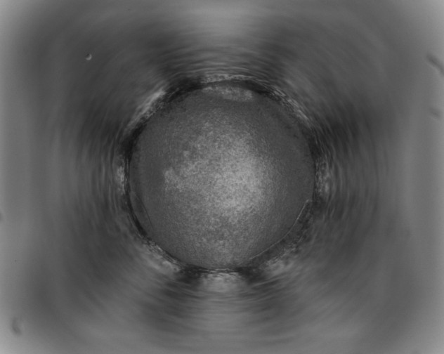 X0000096660716200802191306