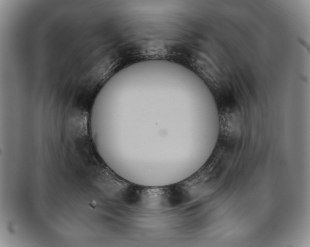 X0000096660717200802191306