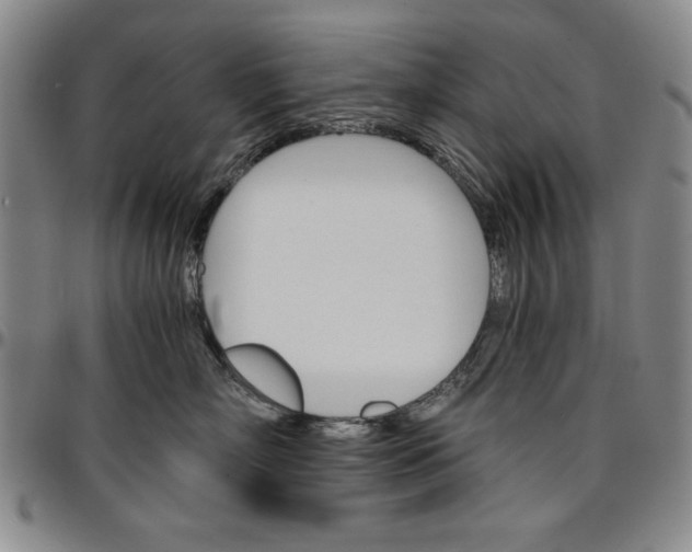 X0000096660718200802191306