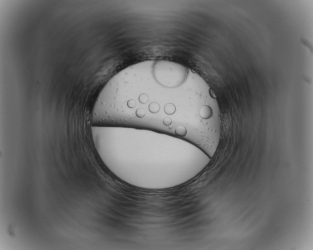 X0000096660719200802191306