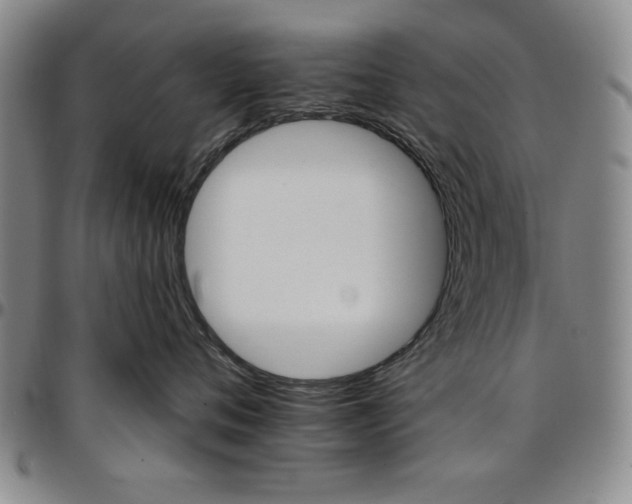 X0000096660720200802191306