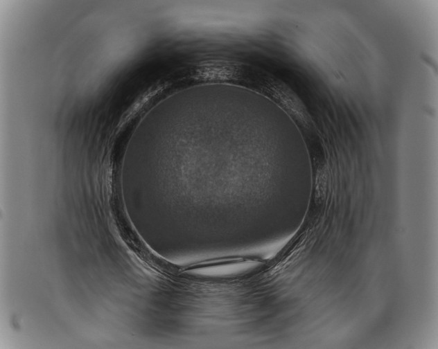 X0000096660722200802191306