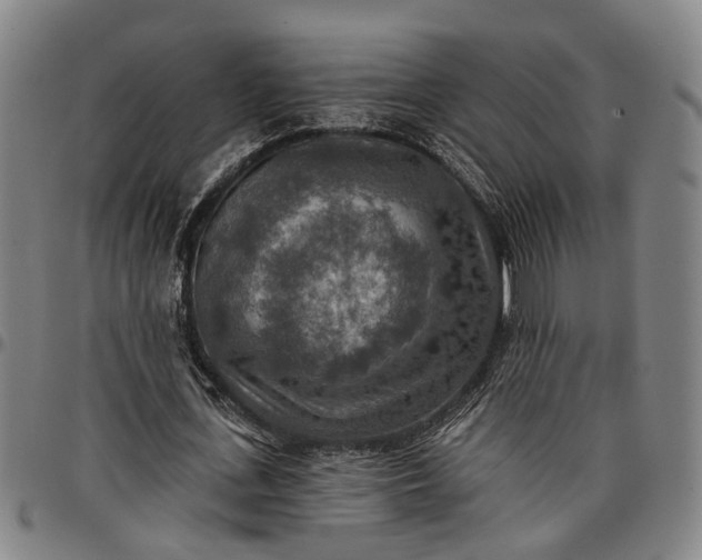 X0000096660723200802191306