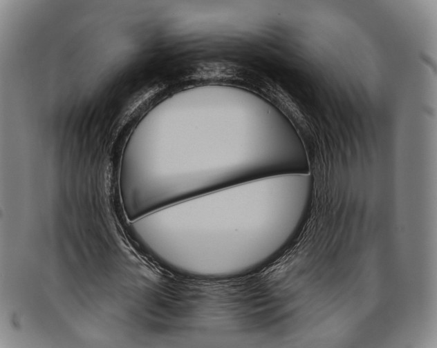 X0000096660724200802191306