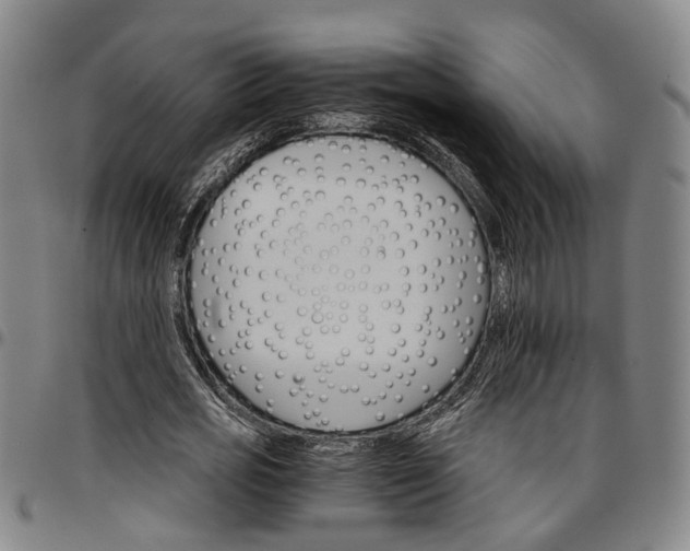 X0000096660725200802191306