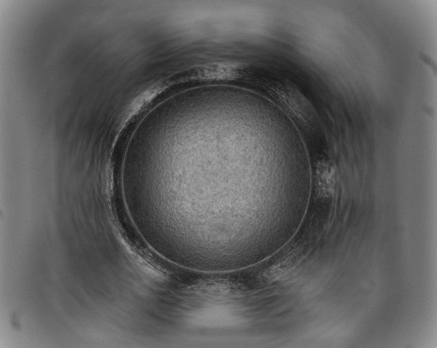 X0000096660726200802191306