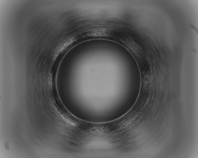 X0000096660727200802191306