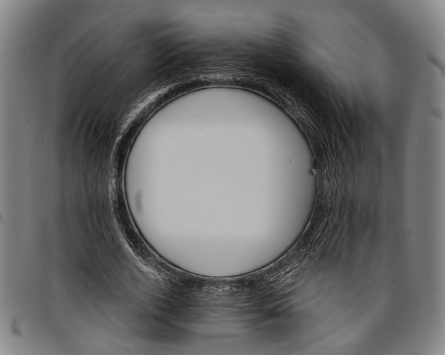 X0000096660728200802191306