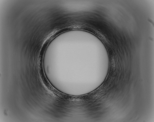 X0000096660730200802191306