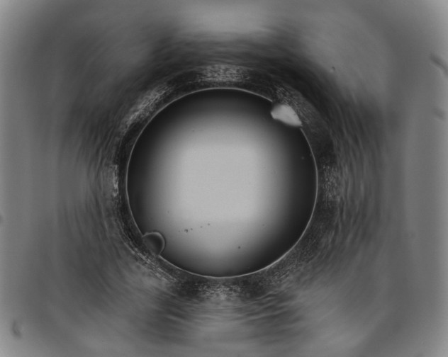 X0000096660731200802191306