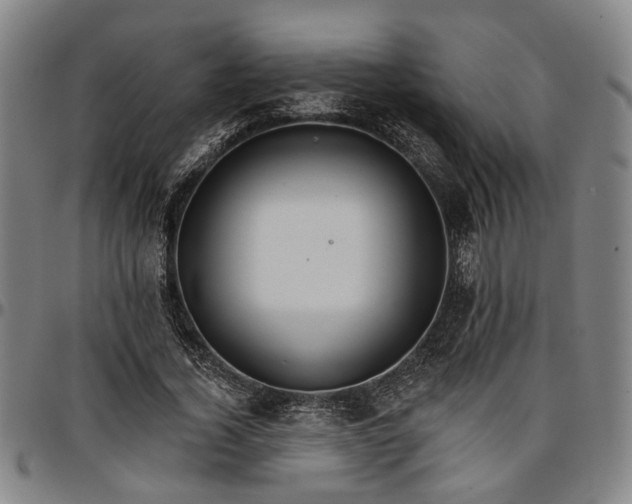 X0000096660732200802191306