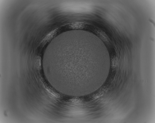 X0000096660733200802191306