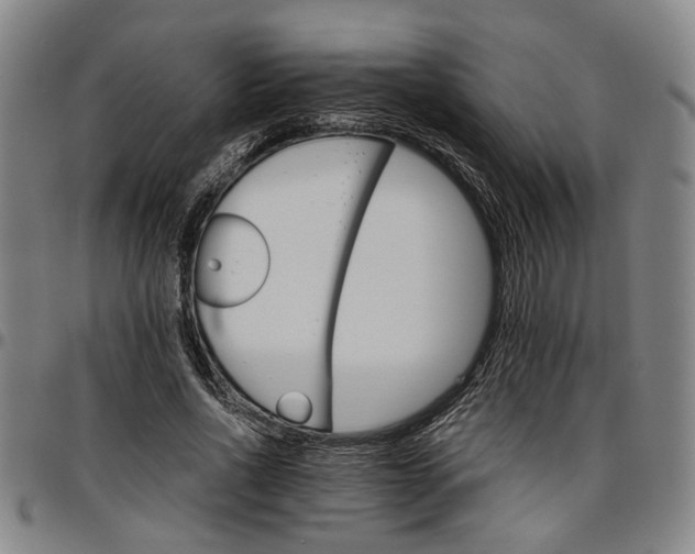 X0000096660734200802191306