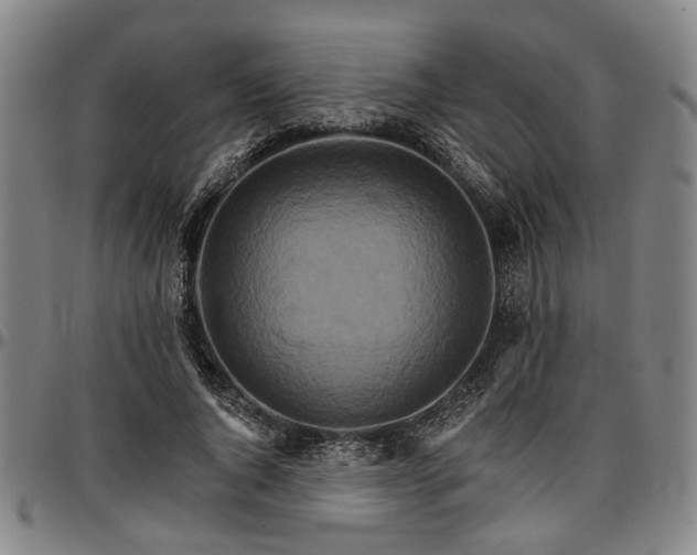 X0000096660736200802191306