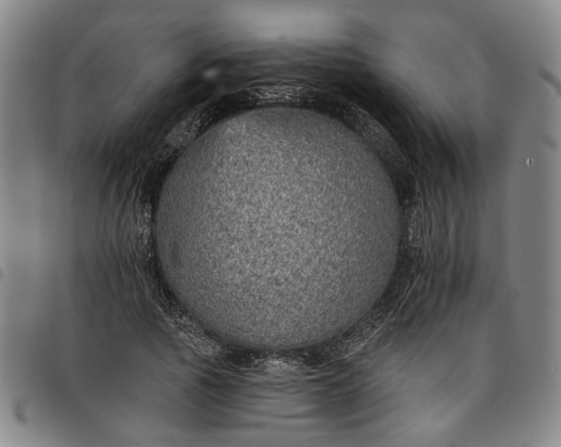 X0000096660737200802191306