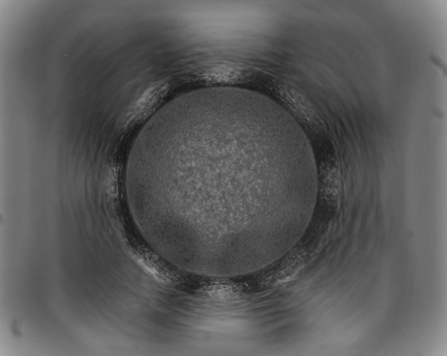 X0000096660738200802191306