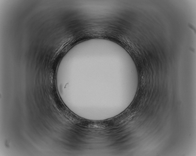 X0000096660739200802191306