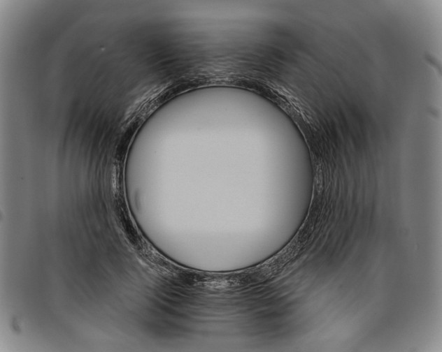 X0000096660740200802191306