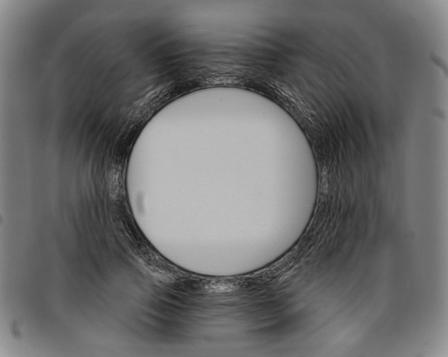 X0000096660741200802191306