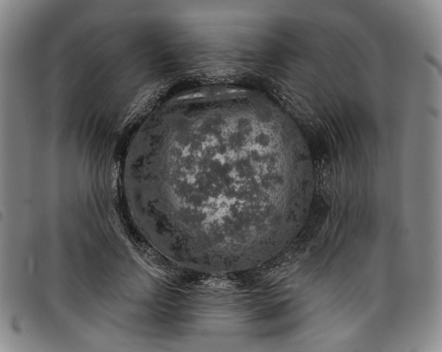 X0000096660742200802191306