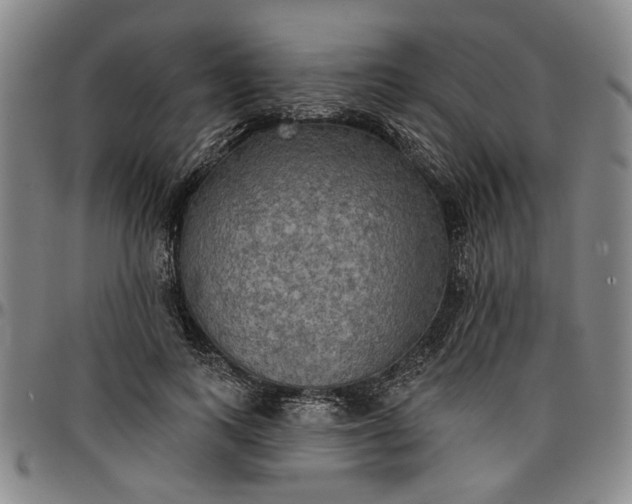 X0000096660743200802191306