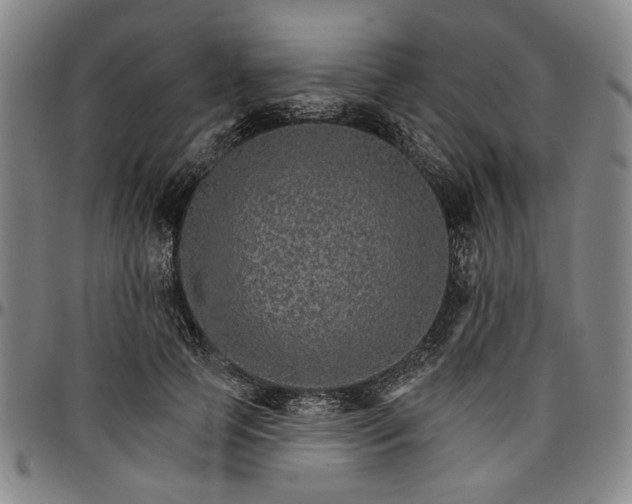 X0000096660745200802191306