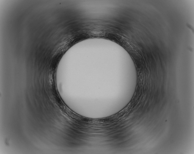 X0000096660746200802191306