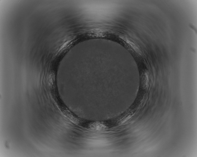 X0000096660747200802191306