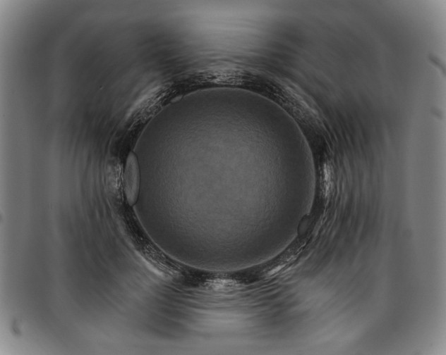 X0000096660748200802191306